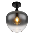 Globo - Plafonska lampa 1xE27/40W/230V zadimljena