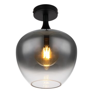Globo - Plafonska lampa 1xE27/40W/230V zadimljena