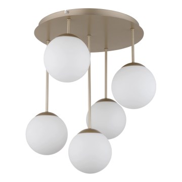 Globo - Plafonski luster 5xE14/25W/230V mesing