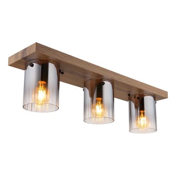 Globo - Plafonsko svetlo 3xE27/40W/230V