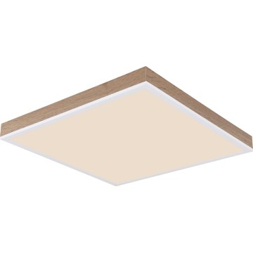 Globo - prigušiva LED plafonska lampa LED/24W/230V 2700-6500K + daljinski upravljač braon/bela
