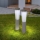 Globo - SET 2x LED solarna svetiljka LED/0,1W/3V 6000K IP44 400 mAh
