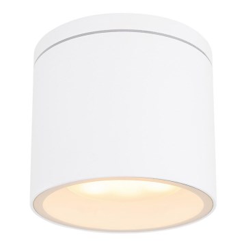 Globo - Spoljno plafonsko svetlo 1xGX53/11W/230V IP44