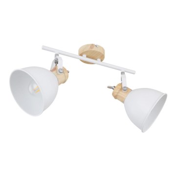 Globo - Spot svetiljka 2xE27/40W/230V