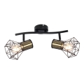 Globo - Spot svetiljka 2xE27/40W/230V