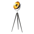 Globo - Stojeća lampa 1xE27/40W/230V