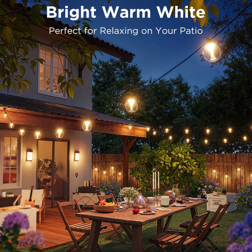 Govee - LED RGBICW prigušiva spoljašnja dekorativna LED girlanda/24W/230V IP67 2700-6500K Wi-Fi