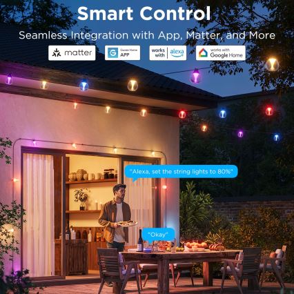 Govee - LED RGBICW prigušiva spoljašnja dekorativna LED girlanda/24W/230V IP67 2700-6500K Wi-Fi