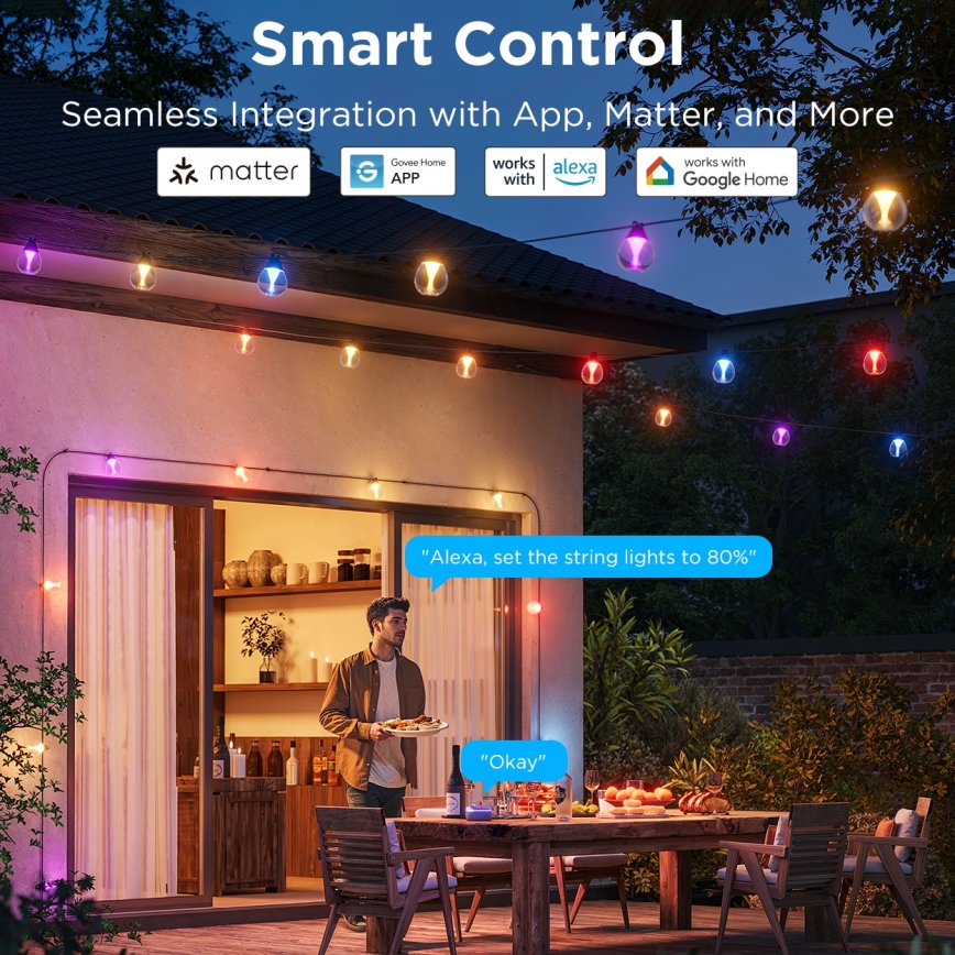 Govee - LED RGBICW prigušiva spoljašnja dekorativna LED girlanda/24W/230V IP67 2700-6500K Wi-Fi