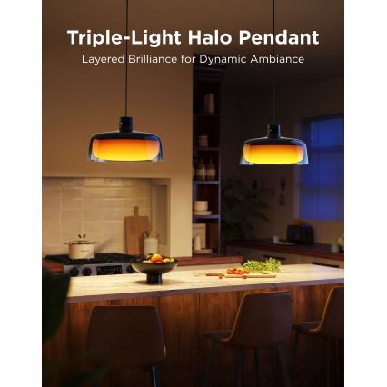 Govee - LED RGBICWW prigušiva luster na sajli LED/21W/230V mat Wi-Fi