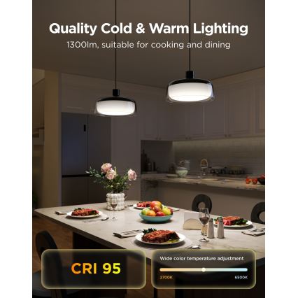 Govee - LED RGBICWW prigušiva luster na sajli LED/21W/230V mat Wi-Fi