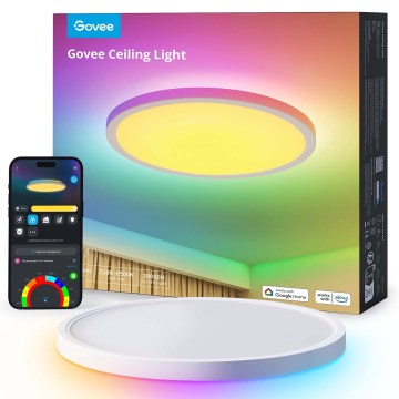 Govee - LED RGBICWW prigušiva plafonska svetiljka LED/29W/230V, prečnik 30 cm, mat, Wi-Fi