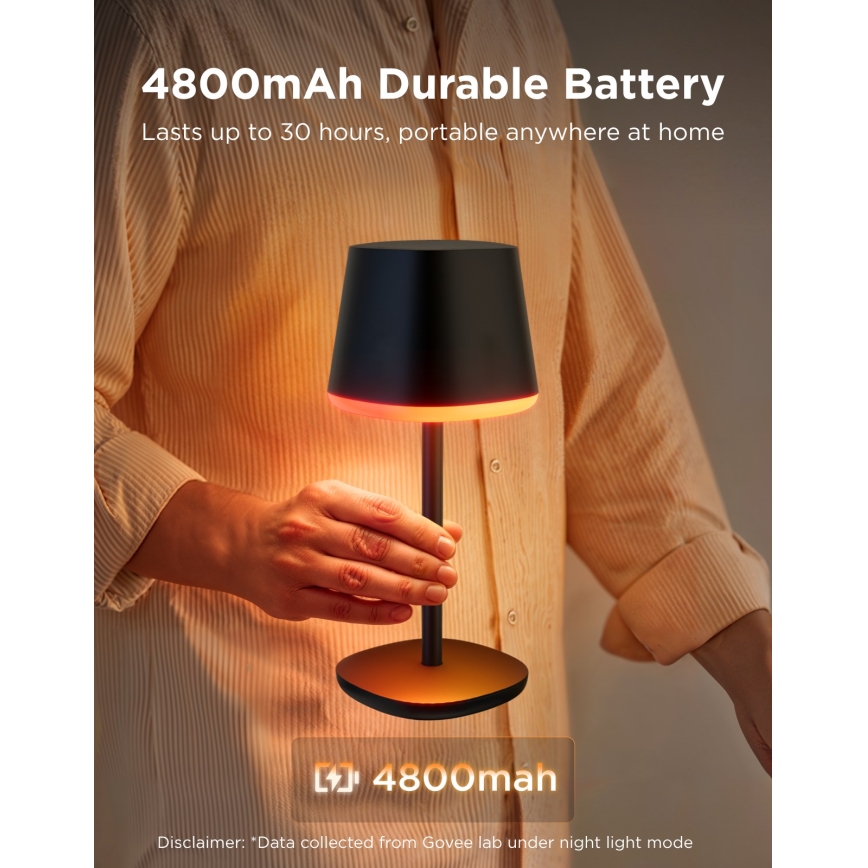 Govee - LED RGBICWW prigušiva stona lampa CLASSIC MATTER LED/10W/5V 4800mAh Wi-Fi