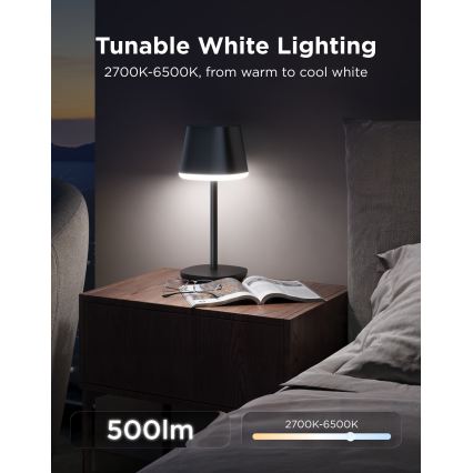 Govee - LED RGBICWW prigušiva stona lampa CLASSIC MATTER LED/10W/5V 4800mAh Wi-Fi