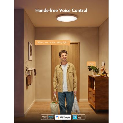 Govee - LED RGBICWW prigušiva plafonska svetiljka LED/29W/230V, prečnik 30 cm, mat, Wi-Fi