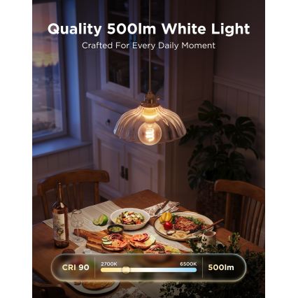 Govee - LED RGBWW prigušiva sijalica Smart MATTER G80 E27/5W/230V 2700-6500K Wi-Fi