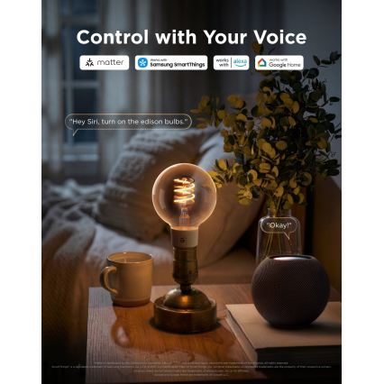 Govee - LED RGBWW prigušiva sijalica Smart MATTER G80 E27/5W/230V 2700-6500K Wi-Fi