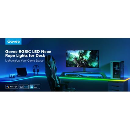 Govee - Neon LED osvetljenje za sto 3m RGBIC Wi-Fi