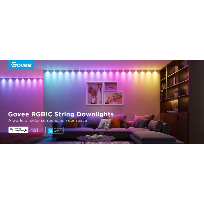 Govee - RGBIC LED niz visećih svetiljki 5m Wi-Fi