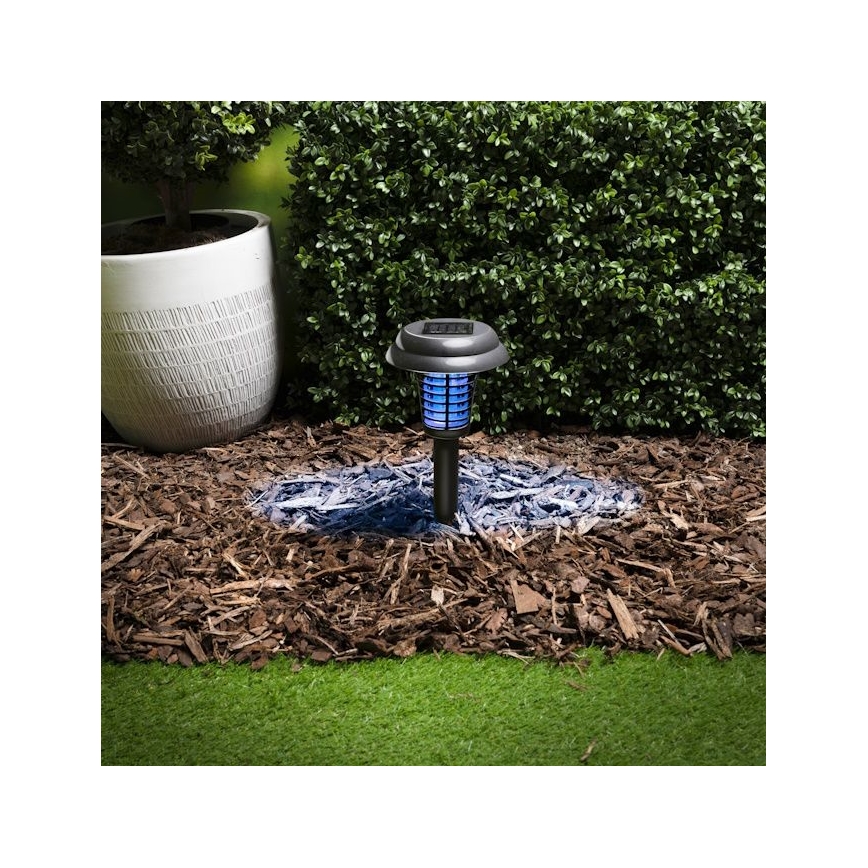 Grundig - LED solarna lampa i lapač insekata UV LED/1xAA 600 mAh IPX4