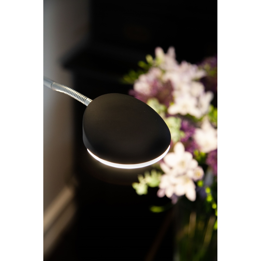 Halo Design 716067 - LED podna lampa VEGAS, prigušiva, LED/20W/230V + LED/5W, crna/sjajni hrom