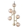 Halo Design 738861 - Luster na sajli ATOM 6xG9/28W/230V, prečnik 30 cm, mesing/dimljeno bež