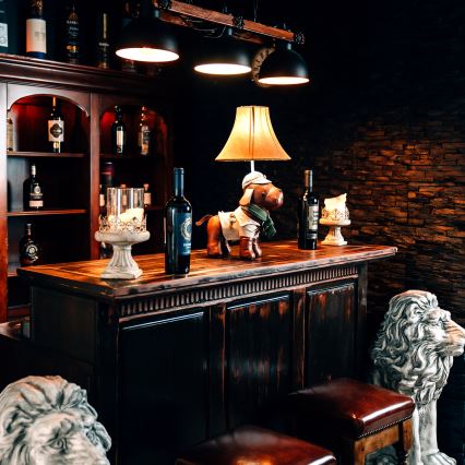 Happy Lamps - LED Dečija stolna lampa SPIKE LED/5,4W/230V lovački pas