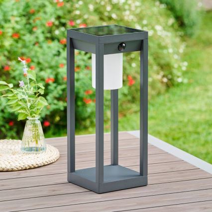 Hesperide - LED solarna lampa sa senzorom pokreta PIKY LED/3,7V 2600 mAh 40 cm IP65 antracit