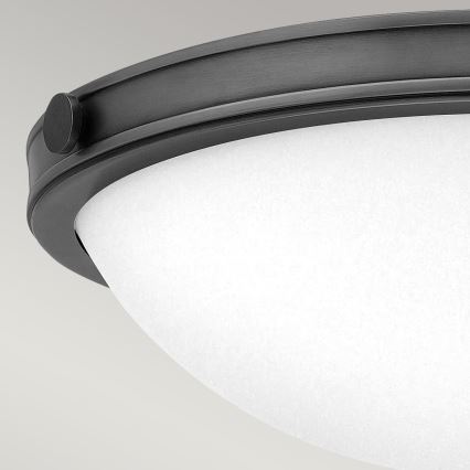 Hinkley - Plafonsko svetlo COLLIER 2xE27/40W/230V prečnik 34,6 cm crno