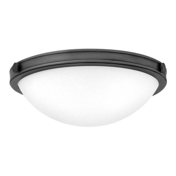 Hinkley - Plafonsko svetlo COLLIER 2xE27/40W/230V prečnik 34,6 cm crno
