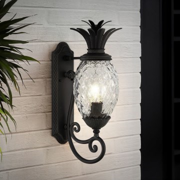 Hinkley - Zidno svetilo PLANTATION 1xE27/40W/230V crna