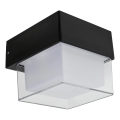 HÖFFTECH - LED spoljašnja zidna svetiljka LED/4W/230V IP65