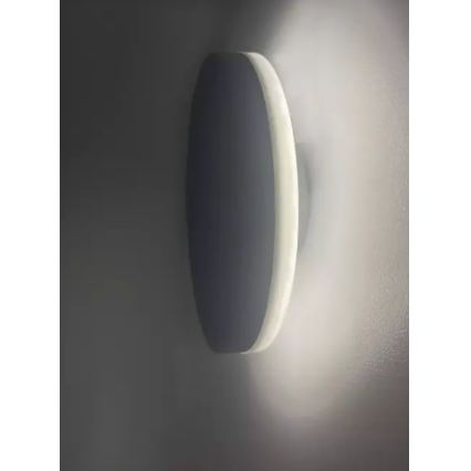 HÖFFTECH - LED spoljašnje zidno svetlo LED/10W/230V okruglo IP65