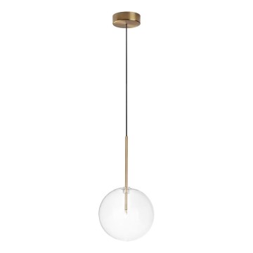 Ideal Lux - LED luster na sajli EQUINOXE 1xG4/2W/230V prečnik 20 cm mesing/prozirno