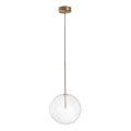 Ideal Lux - LED luster na sajli EQUINOXE 1xG4/2W/230V prečnik 25 cm mesing/prozirno
