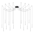 Ideal Lux - LED luster na sajli LUCCIOLA 16xLED/16W/230V CRI 90 u obliku pauka, u crnoj boji