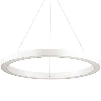 Ideal Lux - LED luster na sajli ORACLE, LED/35W/230V, 3000K, prečnik 70 cm, CRI 90, bela