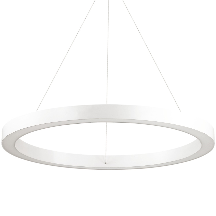Ideal Lux - LED luster na sajli ORACLE, LED/35W/230V, 3000K, prečnik 70 cm, CRI 90, bela