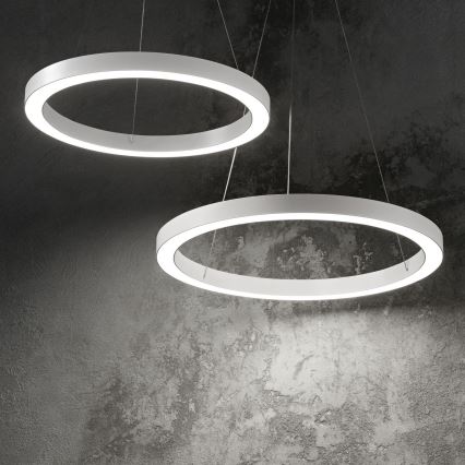 Ideal Lux - LED luster na sajli ORACLE, LED/35W/230V, 3000K, prečnik 70 cm, CRI 90, bela