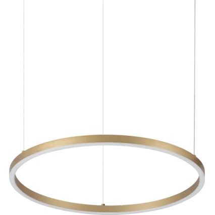 Ideal Lux - LED luster na sajli ORACLE SLIM LED/29W/230V 3000K CRI 90 prečnika 50 cm zlatna