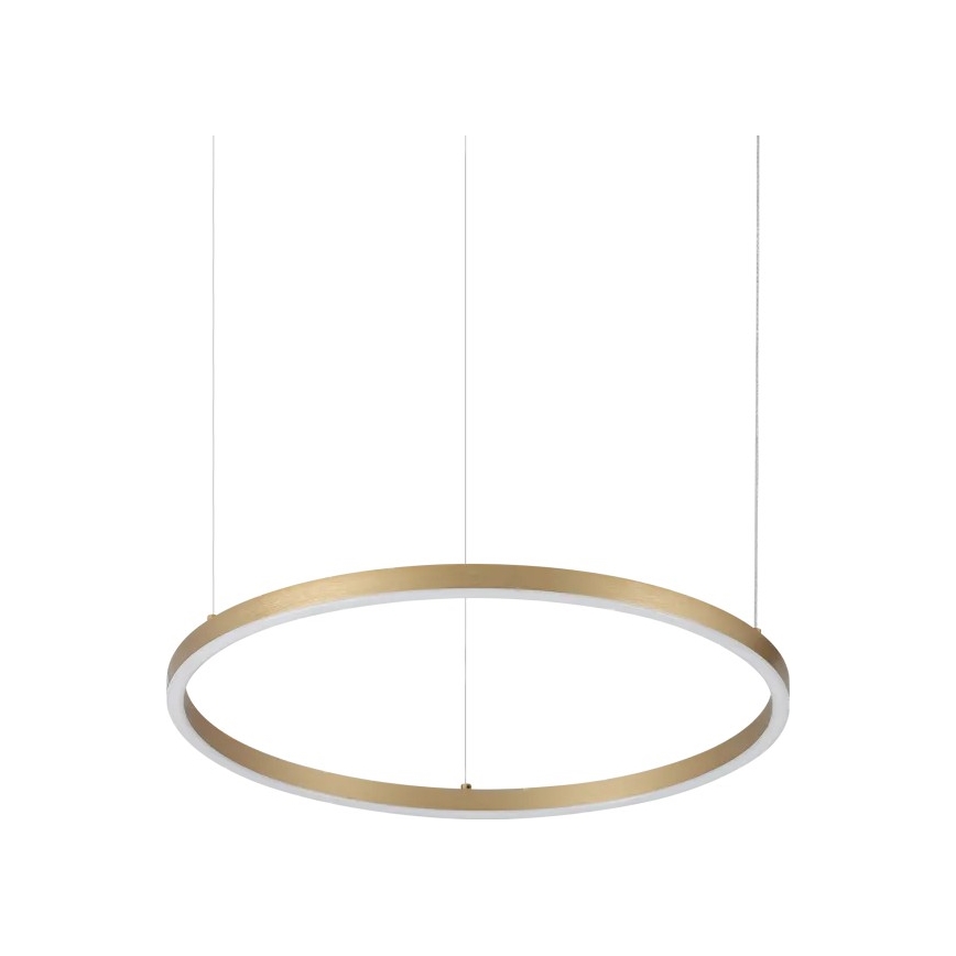 Ideal Lux - LED luster na sajli ORACLE SLIM LED/29W/230V 3000K CRI 90 prečnika 50 cm zlatna