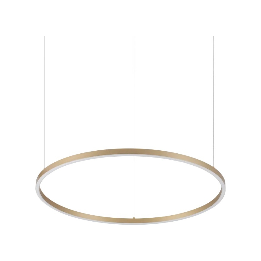 Ideal Lux - LED luster na sajli ORACLE SLIM LED/37W/230V 3000K CRI 90 prečnik 70 cm u zlatnoj boji