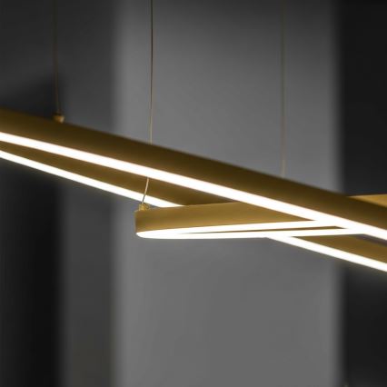 Ideal Lux - LED luster na sajli ORACLE SLIM LED/53W/230V 3000K CRI 90 prečnik 90 cm zlatna