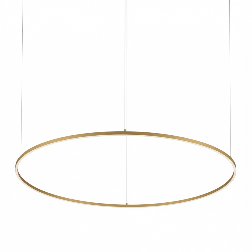 Ideal Lux - LED luster na sajli ORACLE SLIM LED/53W/230V 4000K CRI 90, prečnik 90 cm, zlatna