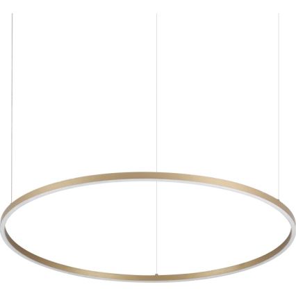 Ideal Lux - LED luster na sajli ORACLE SLIM LED/53W/230V 3000K CRI 90 prečnik 90 cm zlatna