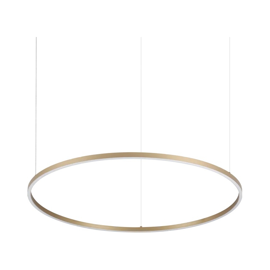 Ideal Lux - LED luster na sajli ORACLE SLIM LED/53W/230V 3000K CRI 90 prečnik 90 cm zlatna