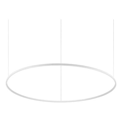 Ideal Lux - LED prigušiva viseći luster na sajli ORACLE SLIM LED/77W/230V 3000K CRI 90, prečnik 150 cm, bela