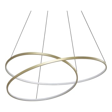 Ideal Lux - LED luster na sajli OZ LED/75W/230V prečnik 100 cm CRI 90 zlatna