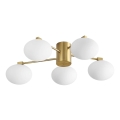 Ideal Lux - LED plafonski luster HERMES 5xG9/3W/230V prečnik 60 cm zlatni