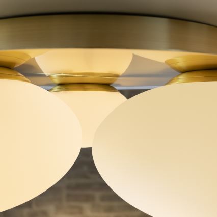 Ideal Lux - LED plafonsko svetlo NINFEA 3xGX53/9W/230V zlatna